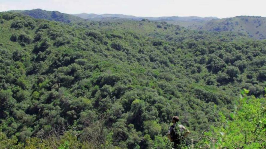 Los Quebrachitos un gran pulmón en Sierras Chicas