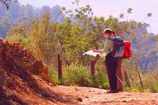 Orientación terrestre, técnicas para no perderte más. orientacion terrestre