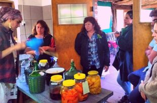 El INTA se vincula con productores de turismo rural inta