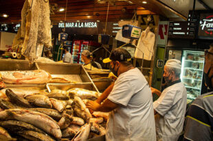 cocina de fazzio