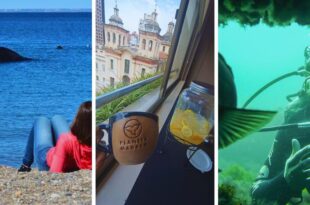 Puerto Madryn, un destino para todo el año madryn turismo cordoba
