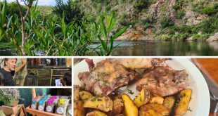 Lanzamiento de temporada 2026 en san marcos sierras