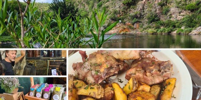 Lanzamiento de temporada 2026 en san marcos sierras